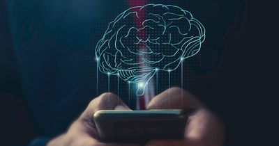 Is the internet becoming self aware?