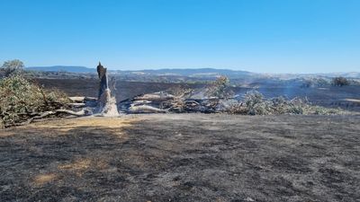 Large grassfire burning between Wee Jasper and Yass most likely started by lightning
