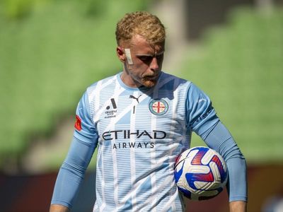 Tom Glover not scarred by pitch invasion: Vidosic