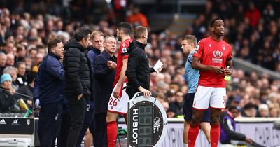 Gary Lineker and Alan Shearer floored by Nottingham Forest nightmare at Fulham