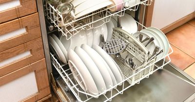 'I'm an expert and you can actually save money by changing the way you load the dishwasher'