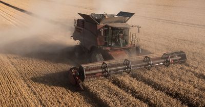 Experts issue warning for Merseyside farmers to keep barns locked