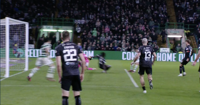Celtic St Mirren red card call blasted as pundit makes 'insult' claim as referee Steven McLean hammered