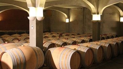 French government to turn wine surplus into industrial alcohol