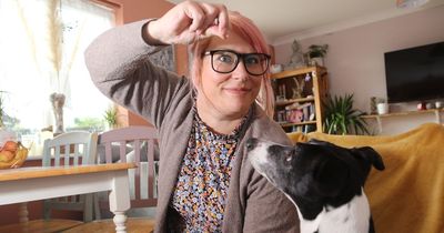 'I ditched my bar job to follow my dream - now I talk to pets beyond the grave'