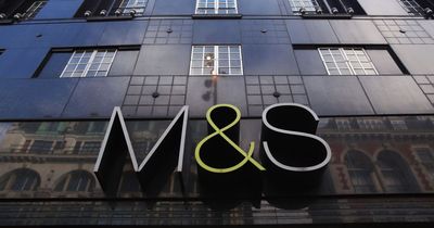 M&S shoppers rushing to buy 'perfect' £29.50 trousers and say they're 'obsessed'