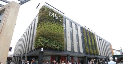 Marks & Spencer shoppers praise 'perfect' £29.50 trousers as their 'new favourite' wardrobe staple