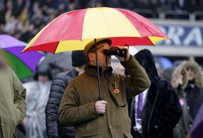 The plan to stop Cheltenham Festival punters urinating in public