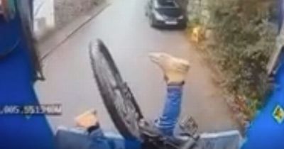 Incredible moment stunned cyclist ends up head first inside back of bin lorry