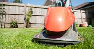 Gardening experts advise best date to cut your grass after winter and top tips for mowing your lawn