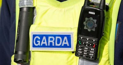 Search for missing woman stood down after discovery of body in Carlow