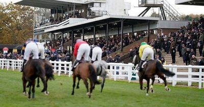 Newsboy's horse racing selections for Monday's three meetings, including Plumpton Nap