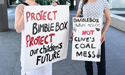 Clive Palmer-owned company withdraws appeal against ruling that coalmine would worsen climate crisis