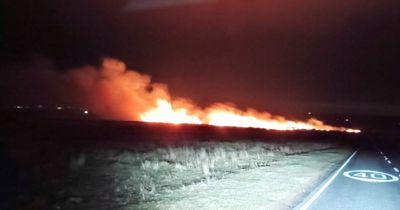 Arson warning after huge fires lit on the Gower at Cefn Bryn