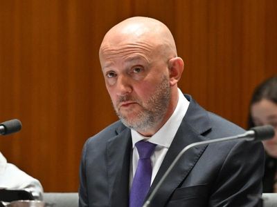 Intelligence chief unaware of Chinese police in Sydney