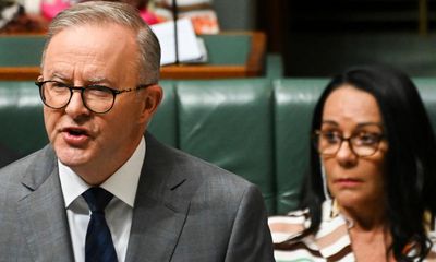 Labor’s bill to ditch public funding for voice campaigns backed by review but Coalition dissents