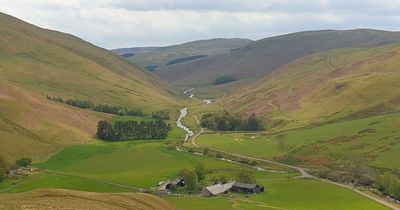 Charity calls for urgent action to support mental health of farmers as sixth annual Mind Your Head campaign launched