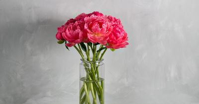 Florist reveals how to keep Valentine's Day flowers fresher for longer