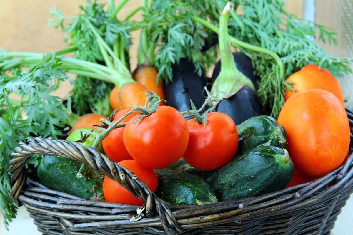 veg-to-grow-in-hot-summers-and-cold-winters