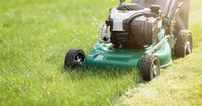 The exact date to cut your grass after winter as garden experts share mowing tips