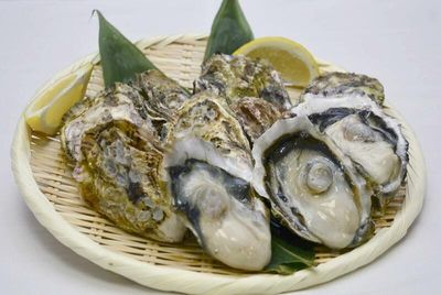 Japanese oysters exported to EU for 1st time amid sales worries
