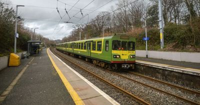 Morning DART services run at reduced capacity due to graffiti of trains