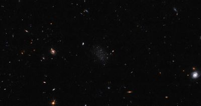 Amateur astronomer spots new galaxy so faint even NASA scientists missed it