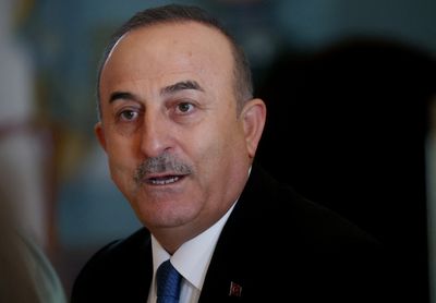 Turkey won't allow new Syrian refugee influx after quake -minister