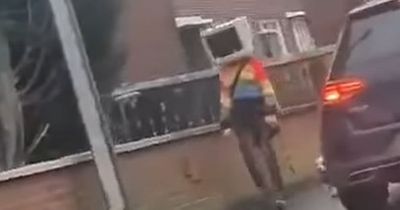North Belfast 'A-Dell' spotted with PC monitor on head while walking dog