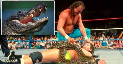 WWE legend Jake 'The Snake' recalls terrifying incident with alligator he thought was dead