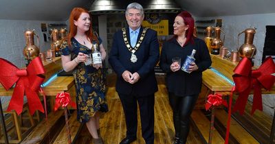 Co Antrim 'Gin Fest' funding to be discussed at Council meeting