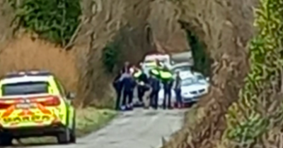 Armed Gardaí swarm around driver following car chase through Mayo villages