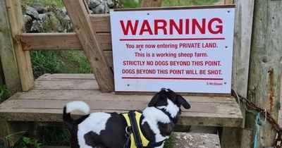 Public response to dog ban proposal at Co Antrim beauty spot is conclusive