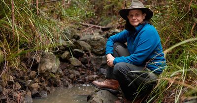 How long can this Canberran survive Alone in the Tasmanian bush?