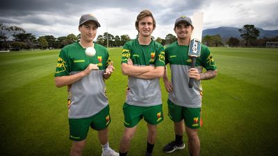 From easybeats to finalists: The rise of Tasmania's intellectual disability cricket team
