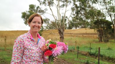 Flower industry pushes to get country-of-origin labelling back on the table for imported blooms