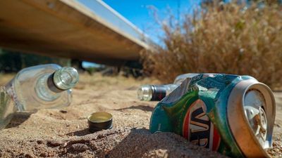 New Northern Territory alcohol laws to be introduced this week, as Alice Springs politician calls for parliament liquor ban