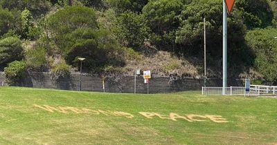 'Wrong place': police investigate vandalism at Foreshore Park