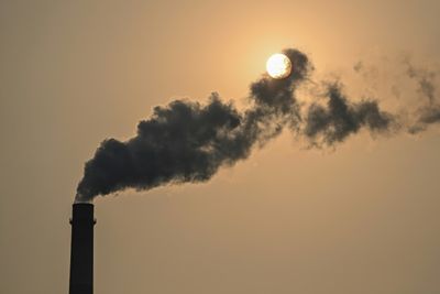 Experts back more robust US estimates of social cost of carbon