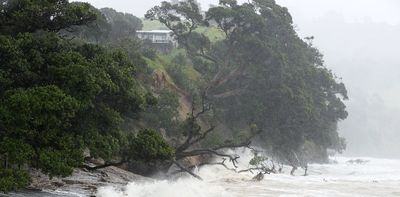 Cyclone Gabrielle: how microgrids could help keep the power on during extreme weather events