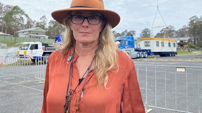 Former Eurobodalla Shire mayor Liz Innes pleads guilty to cultivating 'copious' cannabis crop