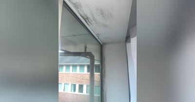 Woman 'locked in damp mouldy flat' after door handle breaks