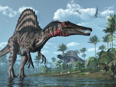 Scientists recreate brain of largest carnivorous dinosaur with fossils