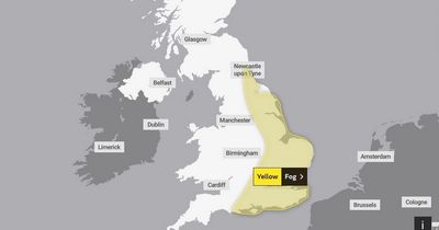 UK weather: Severe fog warning TODAY as temperatures to hit 17C before big freeze returns