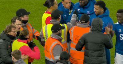 Darwin Nunez waded into Merseyside derby bust-up despite being subbed to remind Everton