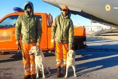 Meet NDRF's Romeo and Julie who saved 6-year-old in quake-hit Turkey