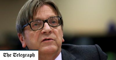 Making Brexit work is a 'delusion', says Guy Verhofstadt