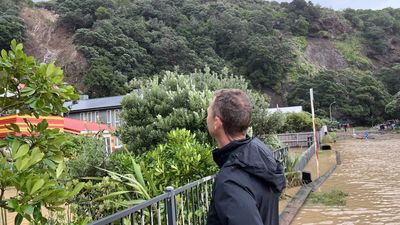 Dramatic Piha landslide: 'We thought, yeah, we better go...'
