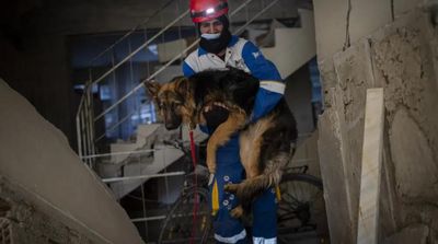 Amid Quake’s Devastation, Parallel Rescue Bid Targets Pets