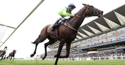 Ascot Gold Cup winner aims to reclaim world's best stayer crown after 605-day absence